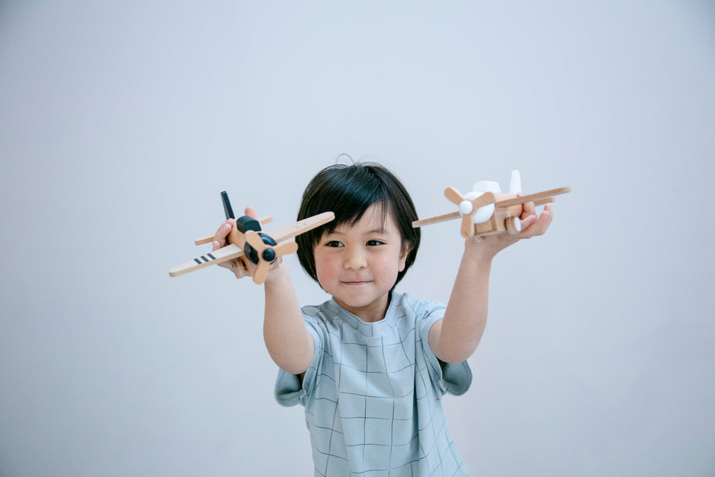 Hikoki Wooden Propeller Plane